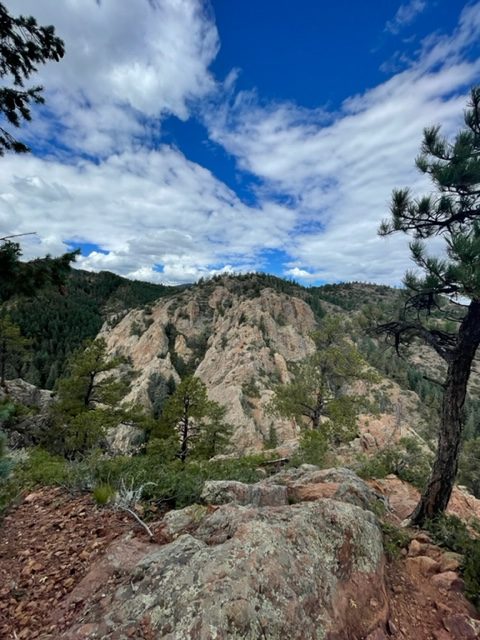 What “Homeschooling” Looks Like